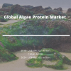 Photo for Global Algae Protein Market: Market Research by Knowledge Sourcing Intelligence