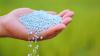 Photo for Global Phosphatic Fertilizers Market Research Report - Industry Analysis, Size, Share, Growth, Trends and Forecast Till 2026