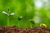 Photo for Global Agricultural Inoculants Market Research Report - Industry Analysis, Size, Share, Growth, Trends and Forecast Till 2026