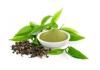 Photo for Theanine Market Leaders, Key Insights, Growth Forecast and Trend Evaluation 2020-2024