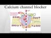 Photo for Global Calcium Channel Blocker Market Research Report - Industry Analysis, Size, Share, Growth, Trends and Forecast Till 2026