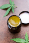 Photo for Why use Hemp Salves for better Health Benefits?