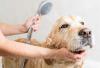 Photo for Prairie Dog Grooming Supplies & Accessories