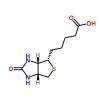 Photo for D-Biotin Market 2020: Industry Growth, Trends and Research Report, To 2025