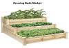 Photo for Growing Beds Market Size, Analysis, Statistics, Trends, Forecast Report, 2024