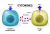 Photo for Cytokines Market 2020: Industry Growth, Trends and Research Report, To 2025