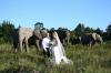 Photo for Wedding Holidays in Africa