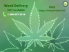 Photo for Best Weed Delivery In Los Angeles