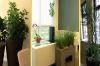 Photo for Transform Your Office with an Interior Plantscaping Company in Philadelphia