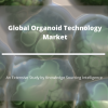 Photo for Organoid Technology Market is Projected to Boom at a CAGR of 28.11%