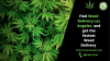 Photo for Affordable Weed Delivery Dispensaries In Los Angeles
