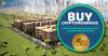 Photo for Buy Cryptomonnaies At Simbcoin