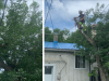Photo for Edmonton Arborist