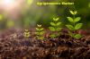 Photo for Agrigenomics Market Size, Development, Key Opportunity, Application & Forecast to 2026