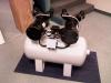 Photo for Dental Compressors Market Size, Share, Growth, Trends and Forecast Report, 2020