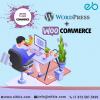Photo for Woocommerce Development Company Indianapolis