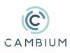 Photo for Cambium