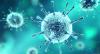 Photo for DC-Cholesterol Liposomes for DNA/RNA Delivery