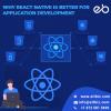 Photo for Why react native is better for mobile application development