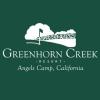 Photo for Greenhorn Creek Resort