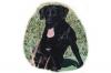 Photo for 5 Smart Workouts That You Can Do With Your Dog