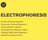 Photo for Emerging Trends Electrophoresis Market by Types, Revenue, Industry Growth and Forecast 2022