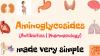 Photo for Aminoglycoside Market Size To Reach $1.68 Billion By 2022