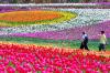 Photo for Floriculture Market Challenges, Key Vendors, Drivers, Trends and Forecast to 2026
