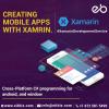 Photo for Xamarin Application Development Agency Indianapolis