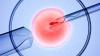 Photo for Avoid the IVF Failure By Undergoing the Best and Highly Successful Treatment in India