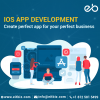 Photo for IOS Apps Development Services Indianapolis