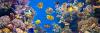 Photo for Buy Aquarium Water Filtration System
