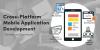 Photo for Cross-Platform Mobile Application Development- Benefits and Drawbacks