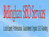 Photo for Bellingham SEO Services