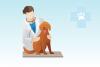 Photo for Veterinary Biologics Market Revenue, Opportunity, Segment and Key Trends 2019-2029