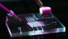 Photo for Microfluidics Market Size Worth $13.4 Billion By 2026