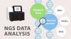 Photo for NGS Data Analysis Market Size To Reach $2.03 Billion By 2024
