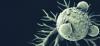Photo for T-Cell Immunotherapy Market 2020: Industry Growth, Trends and Research Report, To 2025