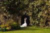 Photo for Wedding Photographers Somerset