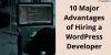 Photo for 10 Major Advantages of Hiring a WordPress Developer