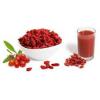 Photo for Goji Berries Market Growth Outlook 2020 to 2025