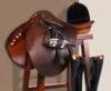 Photo for Global Horse Riding Equipment Market 2020 | Manufacturers, Regions, Type and Application, Forecast to 2025
