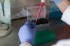 Photo for Global Pharmaceutical Analytical Testing Outsourcing Market Size, Share, Growth, Trends and Industry Analysis Report, 2019 to 2026
