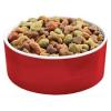 Photo for Global Dog Food Market Research Report - Industry Analysis, Size, Share, Growth, Trends and Forecast Till 2026
