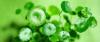 Photo for Global Centella Asiatica Extract Market 2020 | Manufacturers, Regions, Type and Application, Forecast to 2025