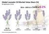 Photo for Lavender Oil Market is Appraised to be Valued US$ 11.9 Mn by 2024