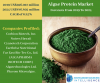 Photo for Algae Protein Market By Knowledge Sourcing Intelligence