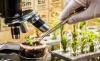 Photo for Botany Dissertation Writing Services