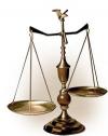 Photo for The Law Offices of Tad Nelson & Associates