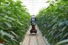 Photo for Global Smart Agriculture Market Size, Share, Growth, Trends and Industry Statistics Report, 2018 to 2025